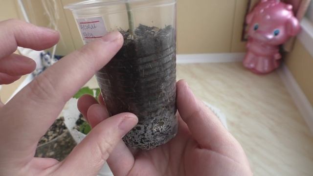 РУБРИКА ПОЛЕЗНЫЕ СОВЕТЫ - Совет 4. смотреть онлайн