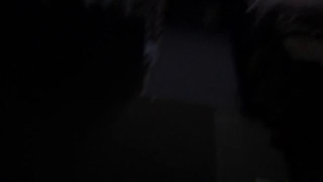 ТРИ ДНЯ В ТАЙГЕ / ОХОТА НА КУНИЦУ КАПКАНАМИ / ЛОВЛЯ НАЛИМА И ЩУКИ НА ЖЕРЛИЦЫ / ИЗБА / БЫТ смотреть онлайн