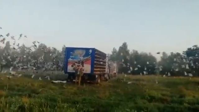 Соревнование 14 Регион Запад 2019 г. смотреть онлайн