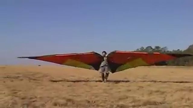He Attempts The Impossible: To Fly Like A Bird with Skybike! смотреть онлайн