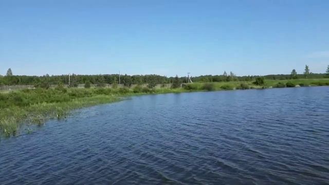 Veronika Shchelova - Juno And Avos Ill Never Forget You