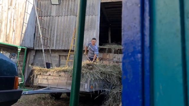 УБИРАЕМ СЕНО. ВКУСНЫЙ УЖИН В МУЛЬТИВАРКЕ.? смотреть онлайн