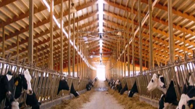 Как Построить Ферму Для Содержания Коров Своими Руками0 смотреть онлайн