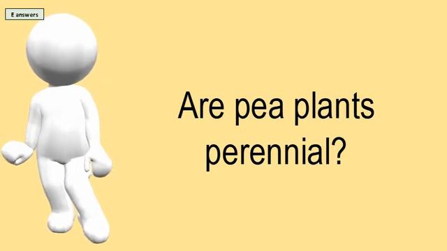 Are Pea Plants Perennial? смотреть онлайн