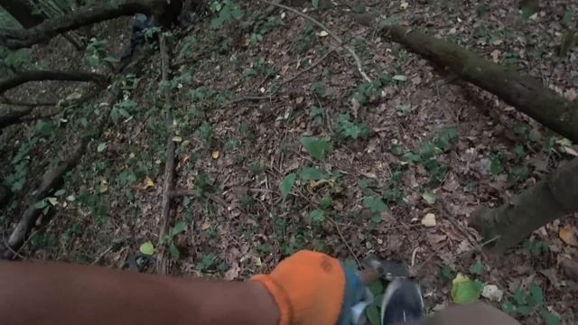 Нашёл новую дорогу усыпанную серебреными монетами! Откуда их столько в лесу?! 120 монет за 2 часа! смотреть онлайн