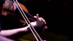 Карен Карапетян (скрипка).Вкусная музыка на вашем мероприятии! /Karen Karapetyan (violin)