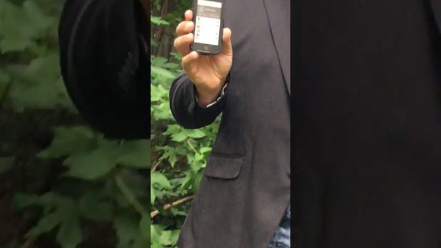 How to Use Inaturalist example смотреть онлайн