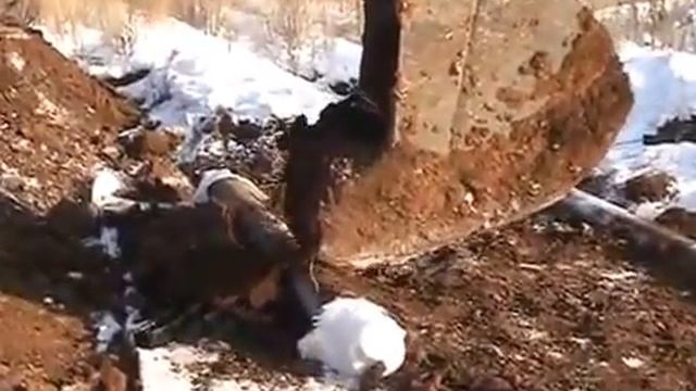 Укрепление грунтов объемной георешеткой на участке АГЗУ смотреть онлайн