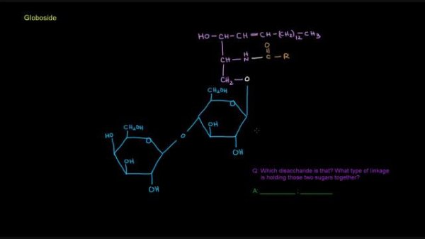 Lipids (Part 10 of 11) - Membrane Lipids - Sphingolipids (examples)