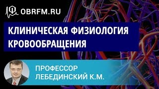 Профессор Лебединский К.М. Клиническая физиология кровообращения то, что важно на каждый день. смотреть онлайн