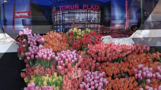 Международный женский день в Польше. 8 марта. смотреть онлайн