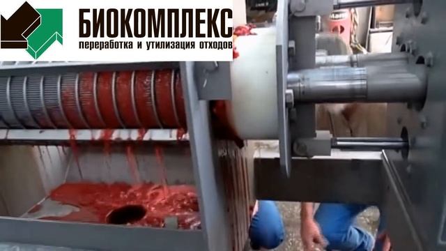 Переработка клюквы смотреть онлайн