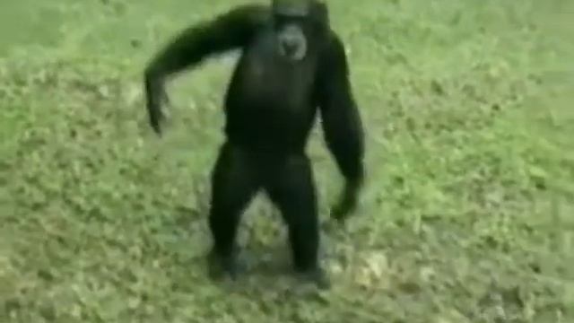 Подари мне платок ! смотреть онлайн