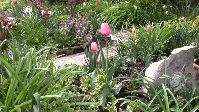 АПРЕЛЬСКИЙ САД.  НЕМНОГО РЕЛАКСА!  МОЛДОВА.