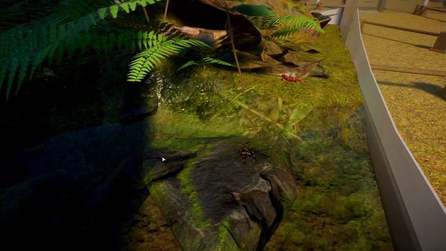 Planet Zoo DLC Tier List (downloadable workshop build) смотреть онлайн