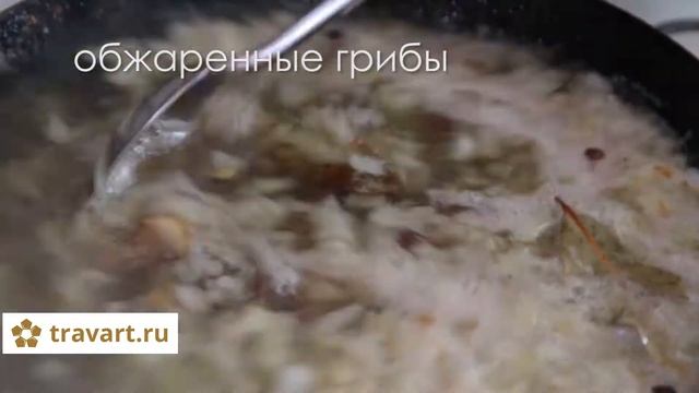 Вкусные рецепты с грибами