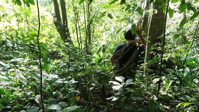 Primitive technology - The 6 month survival challenge in the jungle part 2 @kanyka100 смотреть онлайн