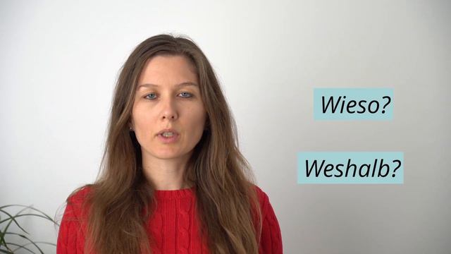 Вопросительные предложения со специальным вопросительным словом на "W". смотреть онлайн