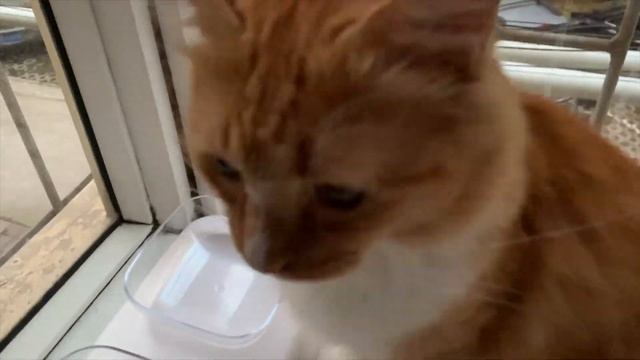ВЛОГ ТАНЦОВЩИЦЫ/Клуб Китая смотреть онлайн