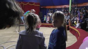 Цирк - Выступление Клоуна