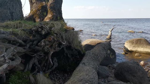 2021.05.13_Дыхание Моря размывает границы нашей обыденности... смотреть онлайн