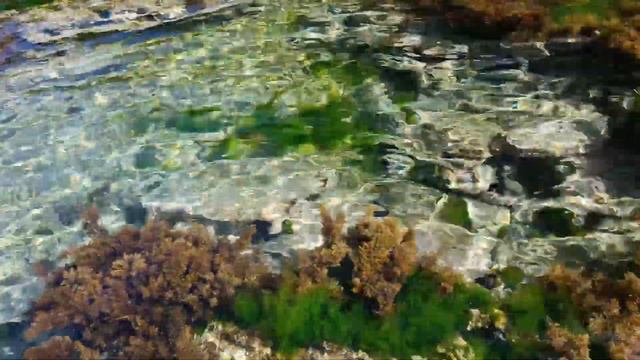 ЧЕРНОГОРИЯ 2022 АДРИАТИЧЕСКОЕ МОРЕ ХЕРЦОГ НОВИ СНОРКЛИНГ смотреть онлайн