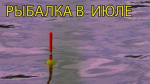 Поменял место и рыба поперла! Рыбалка на поплавок в июле 2022.
