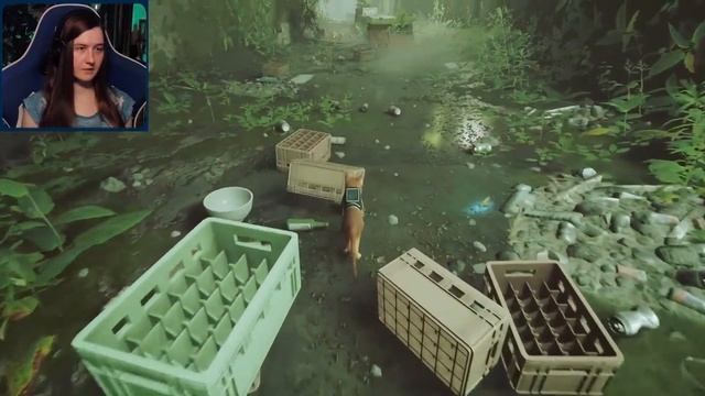 ВОЗВРАЩАЕМ ОТЦА В СЕМЬЮ? Stray #5 смотреть онлайн