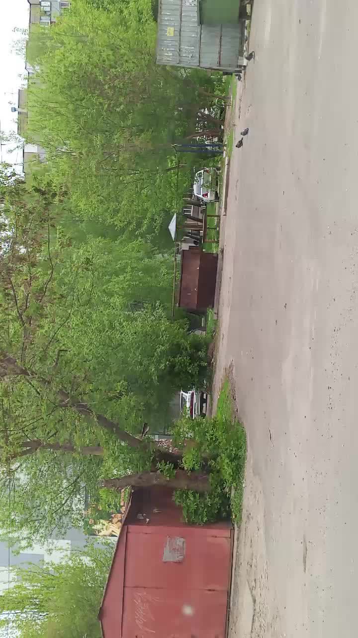 косухина 1 смотреть онлайн