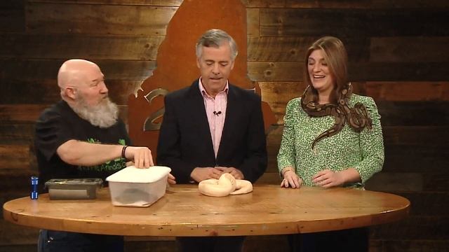 Mr. Drew and His Animals Too joins us on 207 to talk snakes смотреть онлайн