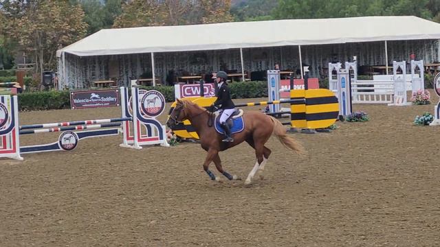 Marseille 2017 mare winning 4th in the National young jumper championship at Blenheim смотреть онлайн