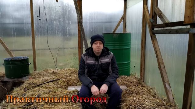 Фитолампы для растений от а до я! смотреть онлайн