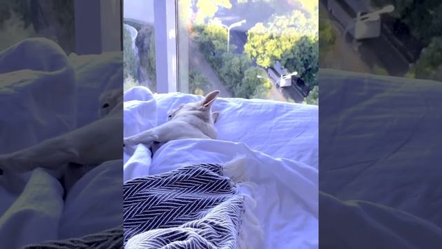 КТО ХОЧЕТ ПОРАБОТАТЬ?