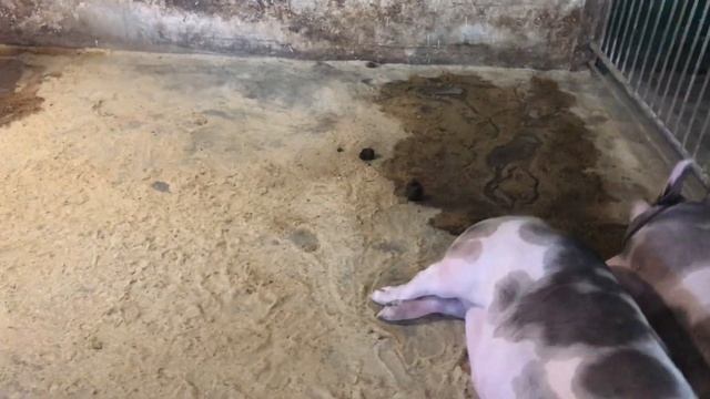 Где пропадал? Почему не выходил в эфир? смотреть онлайн