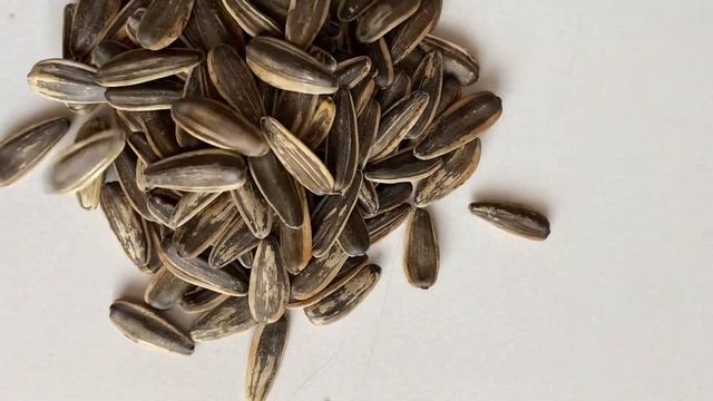 Поделки в сад. Как легко сделать ежика? Оңай жасалатын кірпі. Садикке поделка. смотреть онлайн