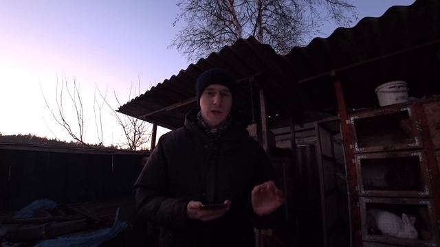 НАШЕЛ ПРОПАВШЕГО КРОЛИКА смотреть онлайн