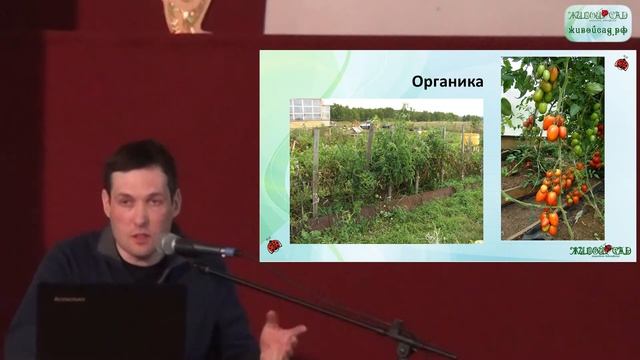 Для чего нужна органика? Восстановление и оздоровление почвы часть 4 "Органика" смотреть онлайн