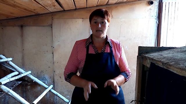 Какие гнезда у моих кур несушек. Как создать условия для хорошей яйценоскости кур. смотреть онлайн