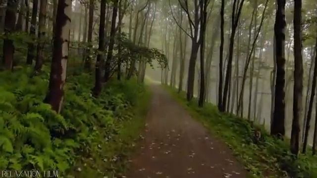 Принципы процветания «ЗАКОН СУДЬБЫ или искусство ЖИТЬ» Олег Гадецкий смотреть онлайн