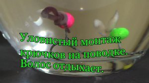 Уловистый монтаж крючков на поводке, _волос_ отдыхает.mp4