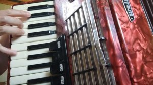 Детство, Шатунова, на аккордеоне