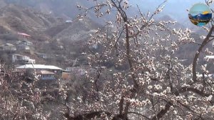 ОБРАЗОВАТЕЛЬНЫЙ РАКУРС: ДЕТСКИЙ САД в с.АШИЛЬТА