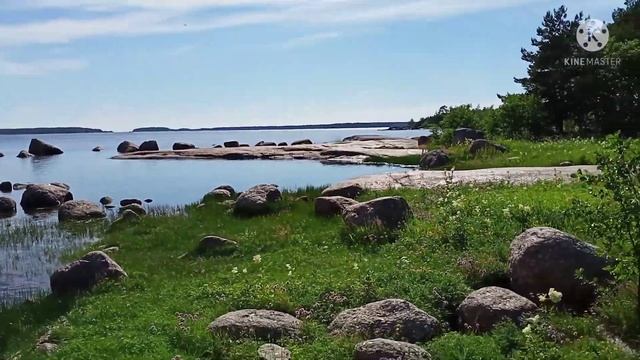 Водная красота.#природная красота#дикая природа#красота природы#лебедь смотреть онлайн