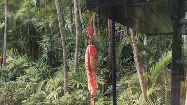 Путешествие в Китай - 7 серия Санья Хайнань Китай China Hainan SANYA смотреть онлайн