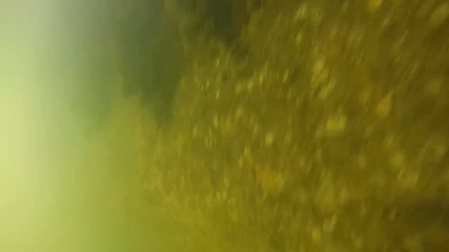 Подводное обследование плавмастерской ПСМ-665. смотреть онлайн