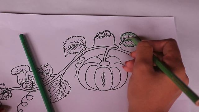 how to draw a pumpkin-how to color a pumpkin | drawing and coloring video for kids #drawing #youtub смотреть онлайн
