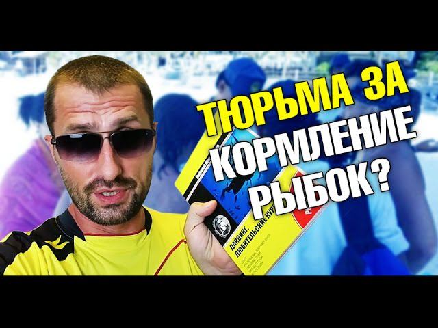 Посадить в тюрьму за кормление рыб? Наши за границей. Беспредел или закон?