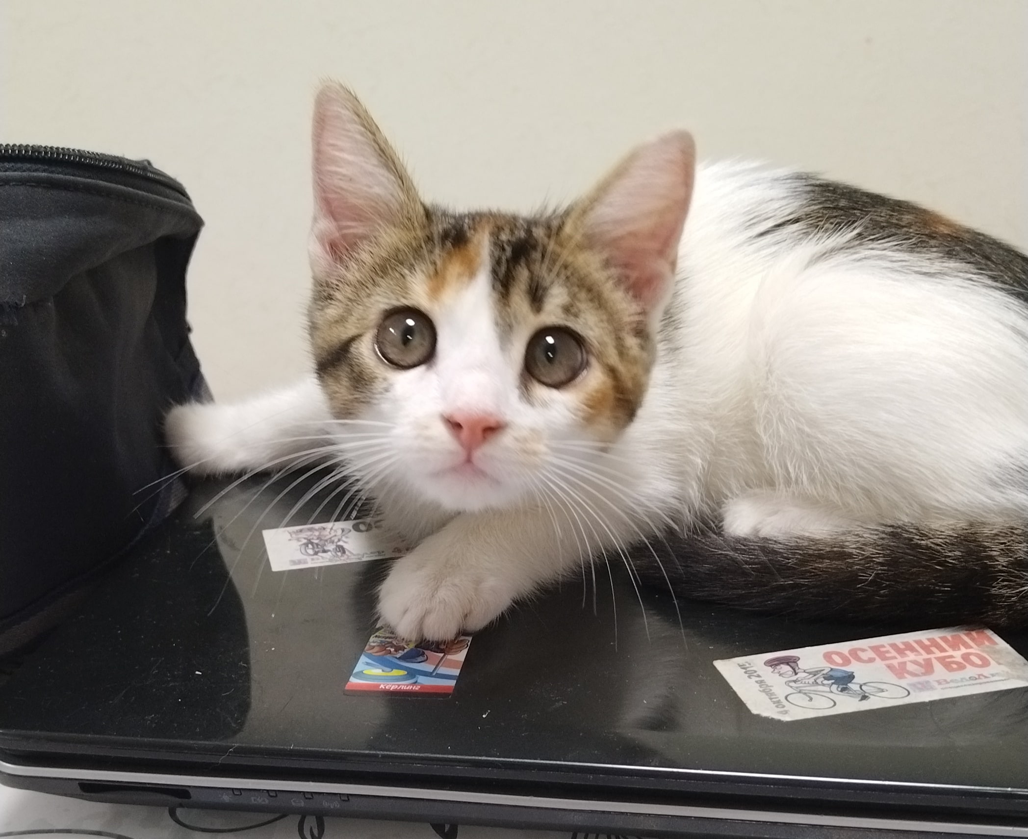 С прибавлением! Моя семья..mp4