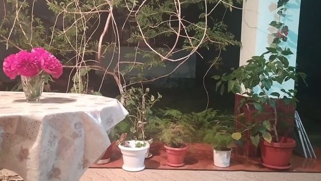 УРА!!! переехали под навес/ Перезалив