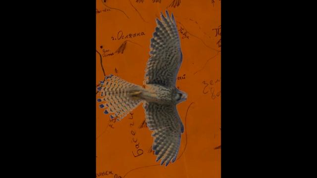 За горизонтом (Beyond the horizon) смотреть онлайн